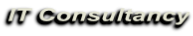 IT Consultancy